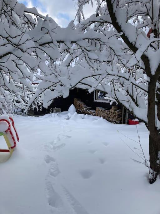 Utulna Chaloupka Na Valassku Valašská Bystřice Exterior foto